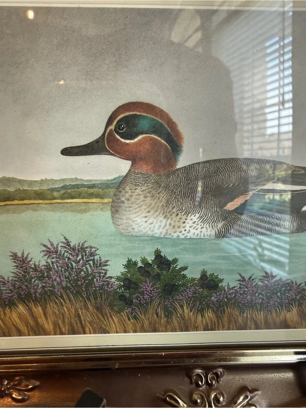 Vintage Ornate Gold Framed Duck Print by English A.F. Lydon with Wood Easel